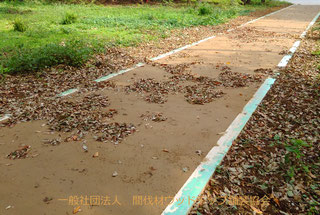 コーポレートサイトにちょうどいい国産CMS